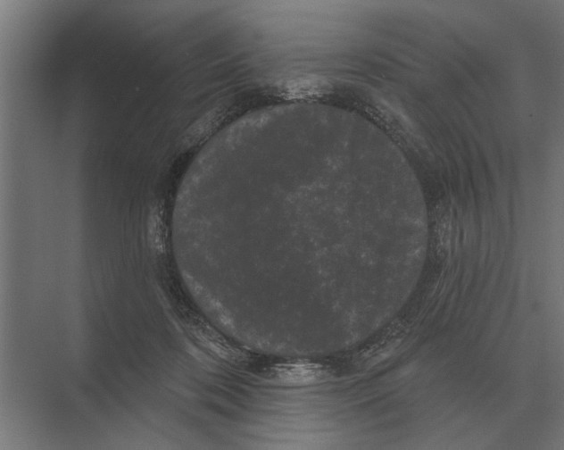 X0000074010316200609181841