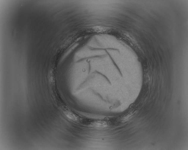 X0000074010317200609181841