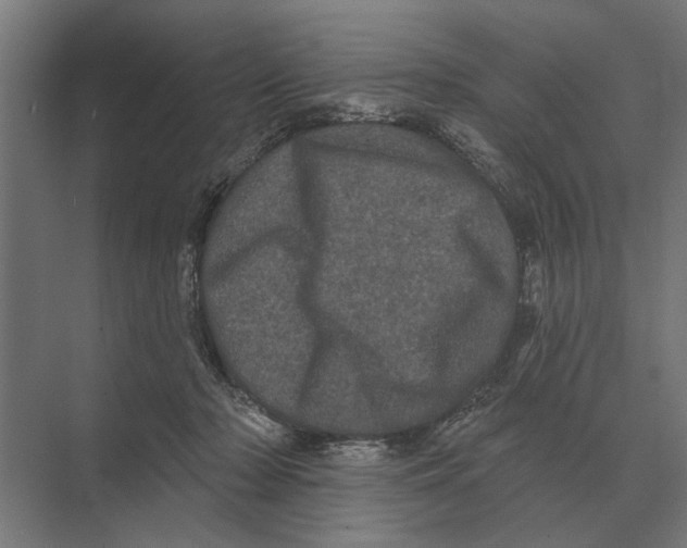 X0000074010318200609181841