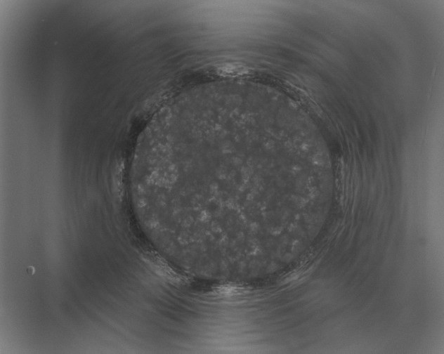 X0000074010319200609181841