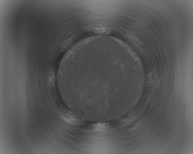 X0000074010320200609181841