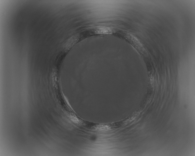 X0000074010322200609181841