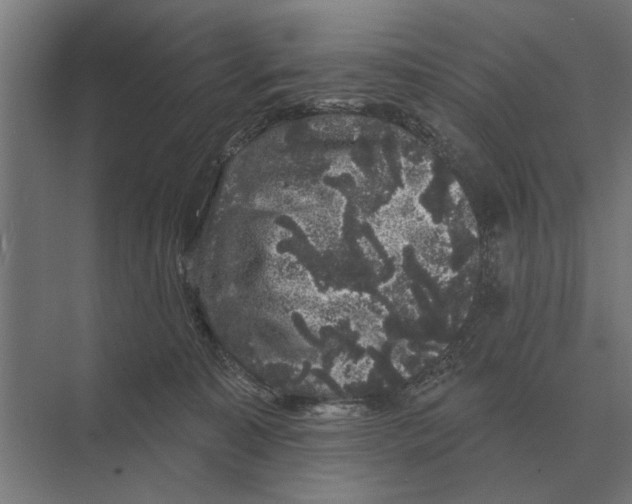 X0000074010323200609181841