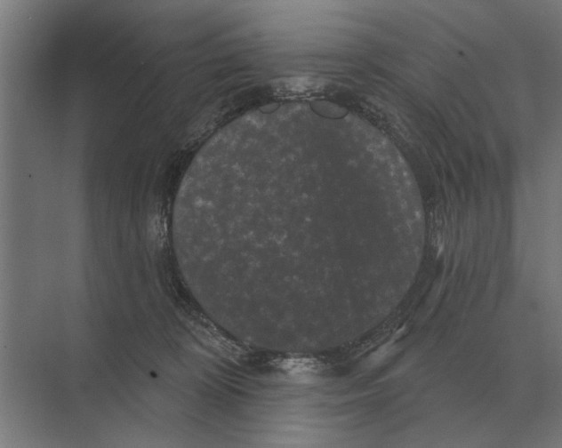 X0000074010324200609181841