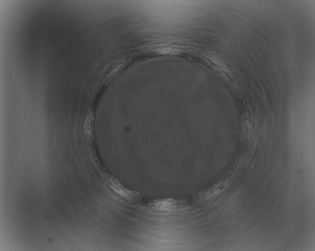 X0000074010325200609181841