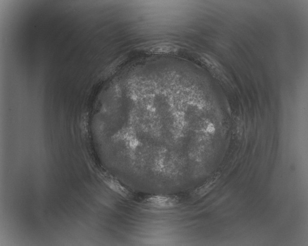 X0000074010326200609181841