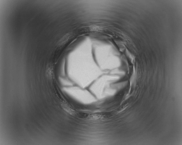 X0000074010329200609181841