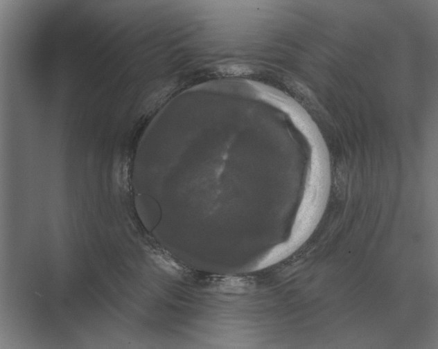 X0000074010330200609181841