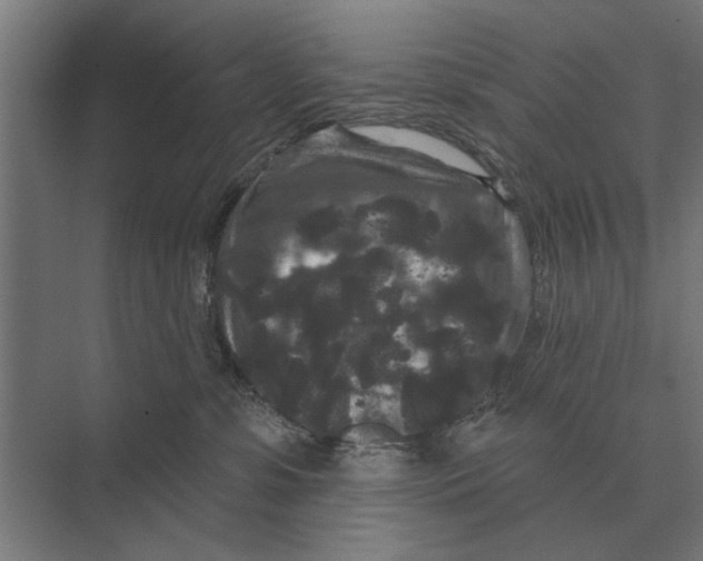 X0000074010331200609181841