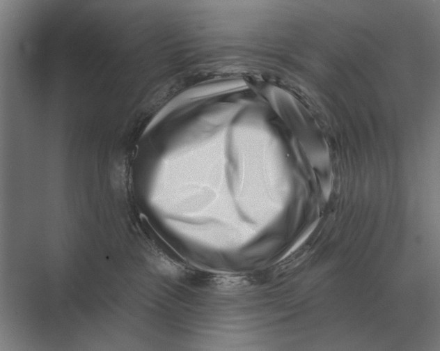 X0000074010333200609181841