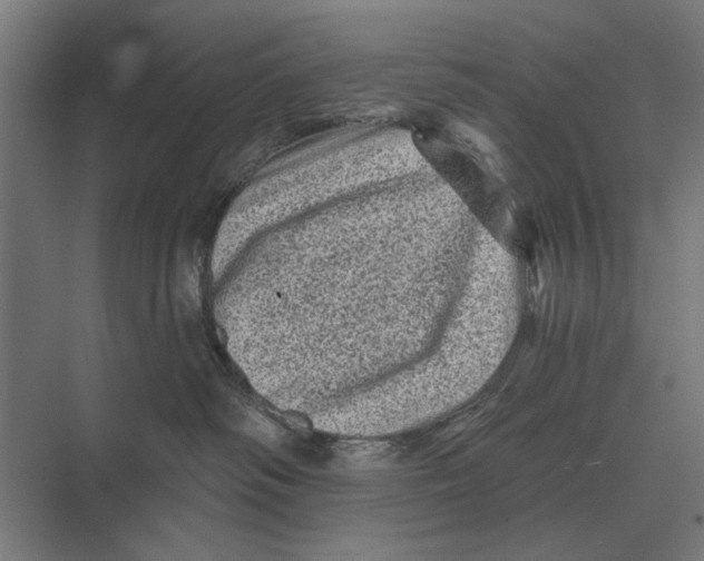 X0000074010334200609181841