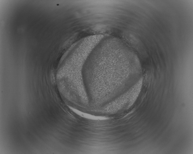 X0000074010335200609181840