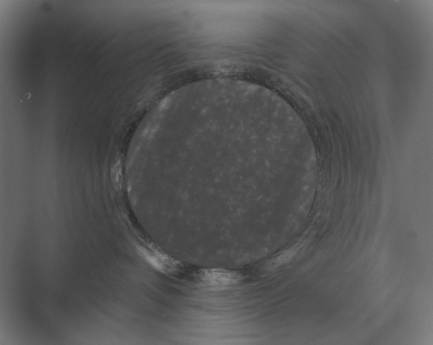 X0000074010336200609181840