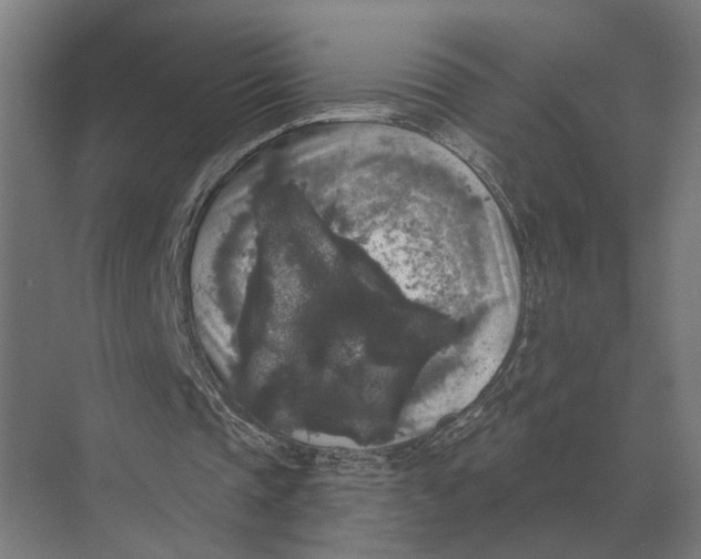 X0000074010337200609181840