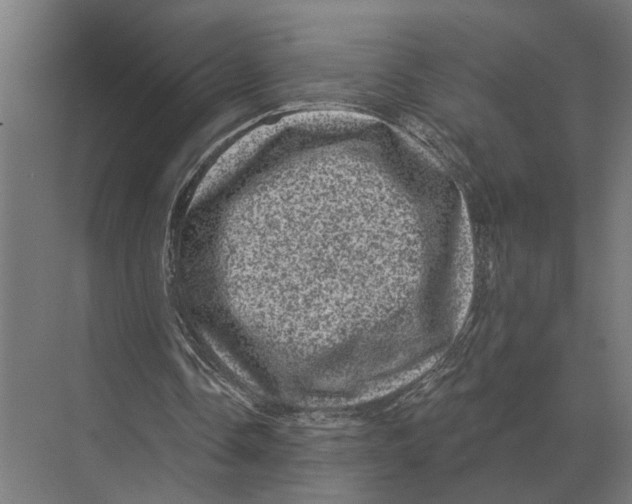 X0000074010338200609181840