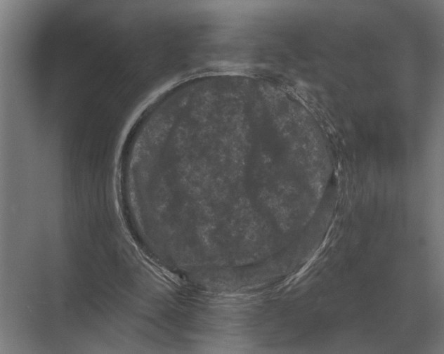 X0000074010342200609181840