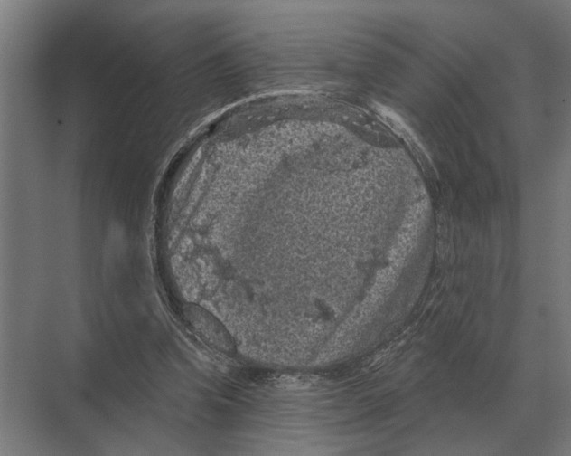 X0000074010346200609181840