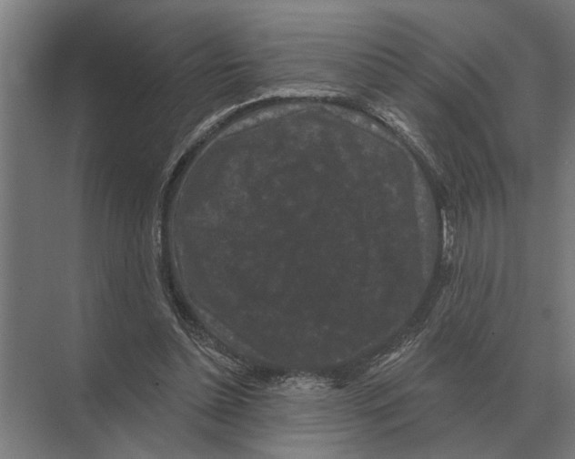 X0000074010348200609181840