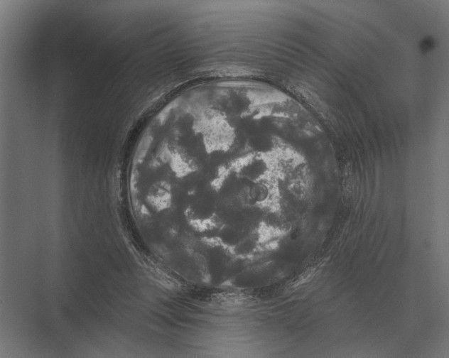 X0000074010351200609181840