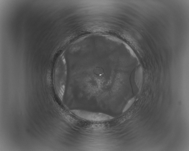 X0000074010353200609181840