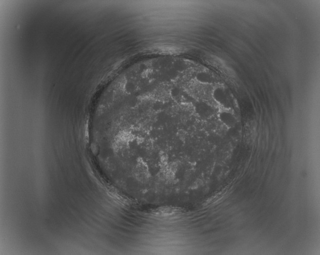 X0000074010358200609181840