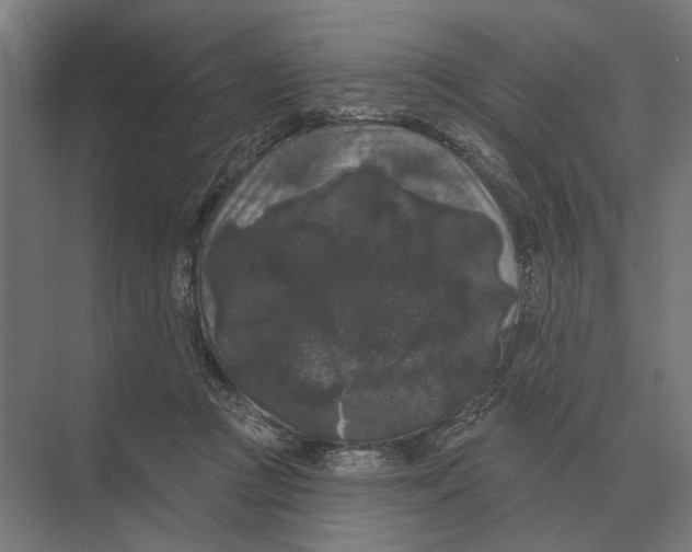 X0000074010361200609181840