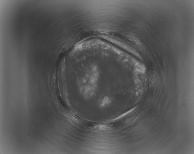 X0000074010365200609181840