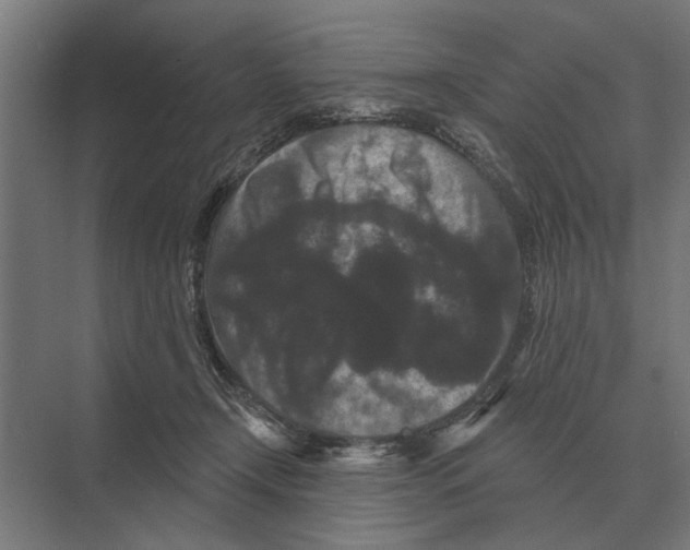 X0000074010366200609181840