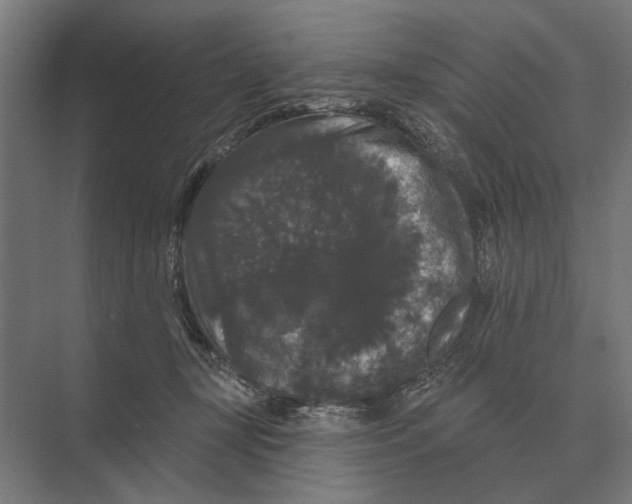 X0000074010367200609181840