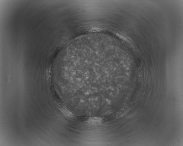 X0000074010369200609181840