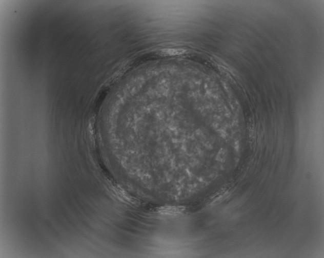 X0000074010373200609181840