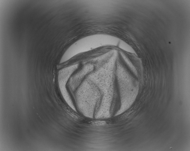 X0000074010374200609181840