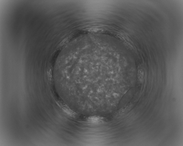 X0000074010375200609181840