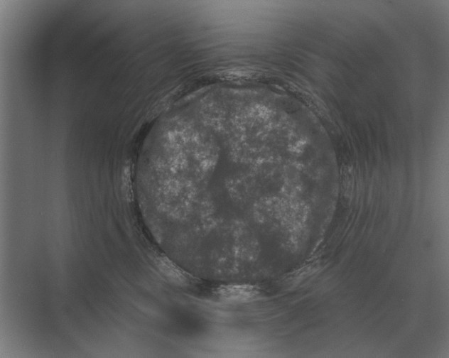 X0000074010378200609181840