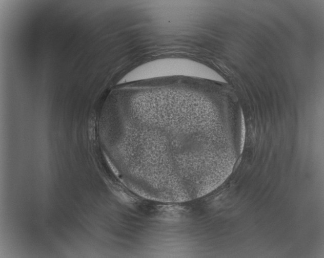 X0000074010379200609181840