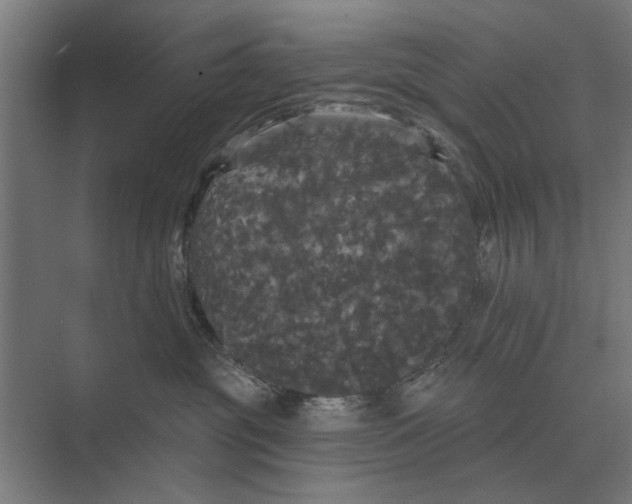 X0000074010381200609181840