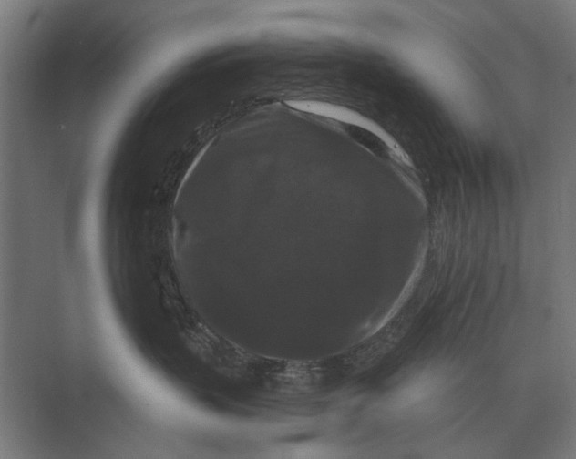 X0000074010383200609181840