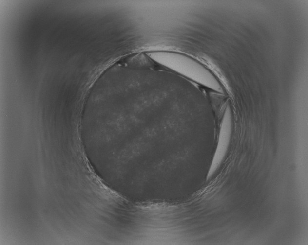 X0000074010385200609181840