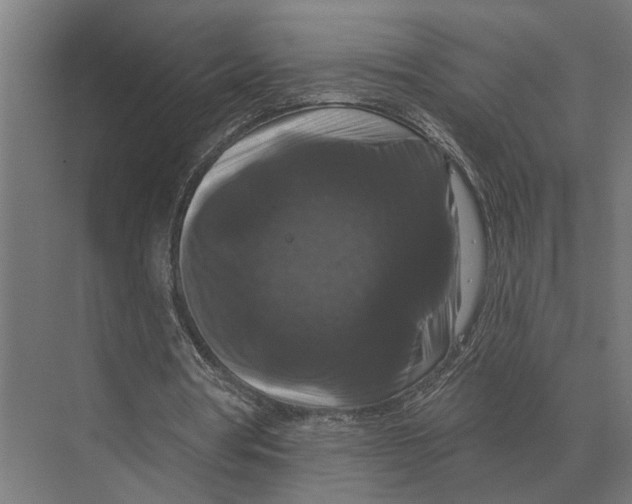 X0000074010386200609181840