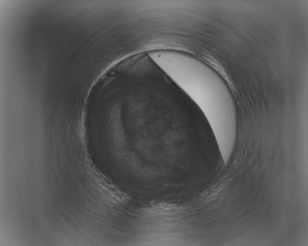 X0000074010387200609181840