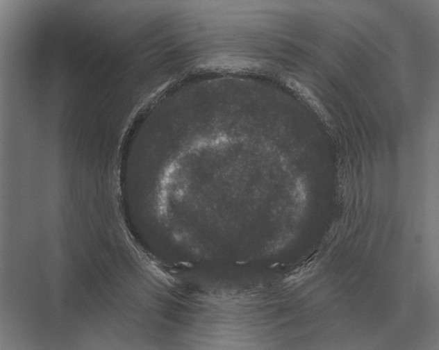 X0000074010399200609181839