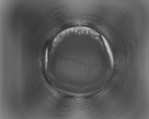 X0000074010402200609181839