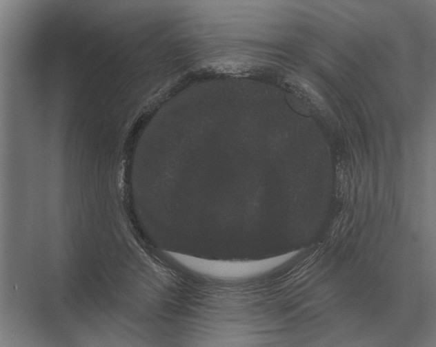 X0000074010404200609181839