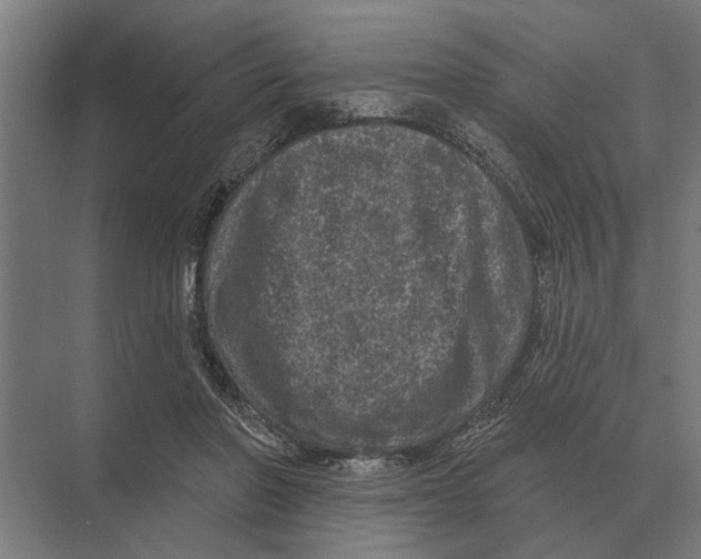 X0000074010406200609181839