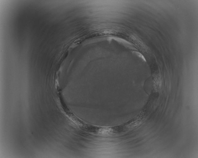 X0000074010410200609181839