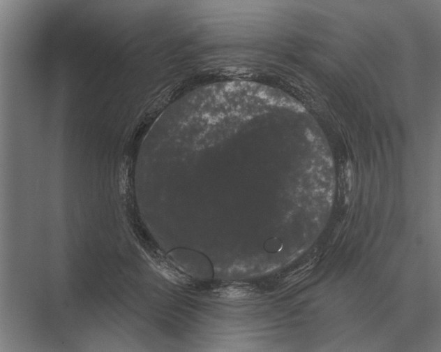 X0000074010412200609181839