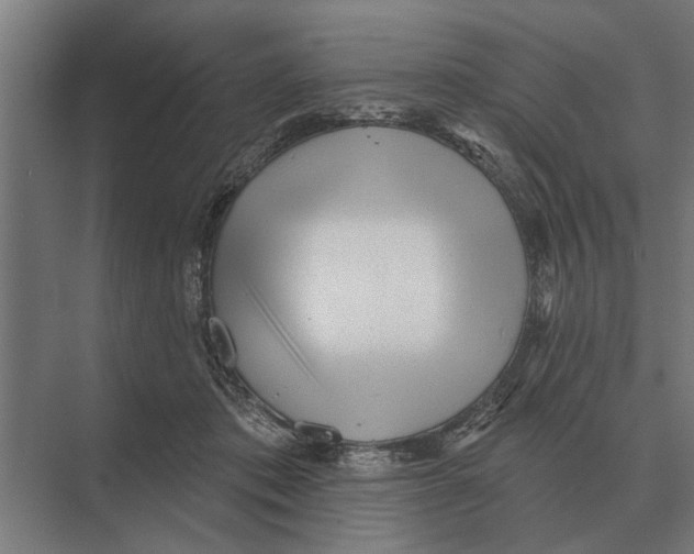 X0000074010413200609181839