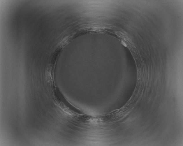 X0000074010415200609181839