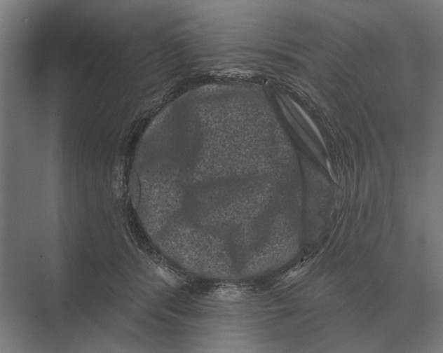 X0000074010416200609181839