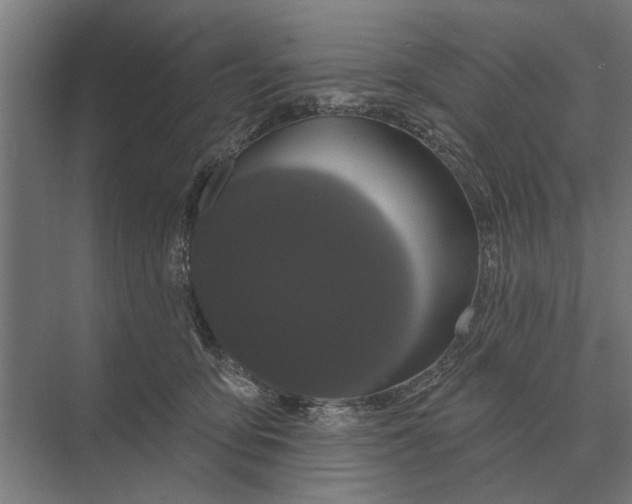 X0000074010419200609181839